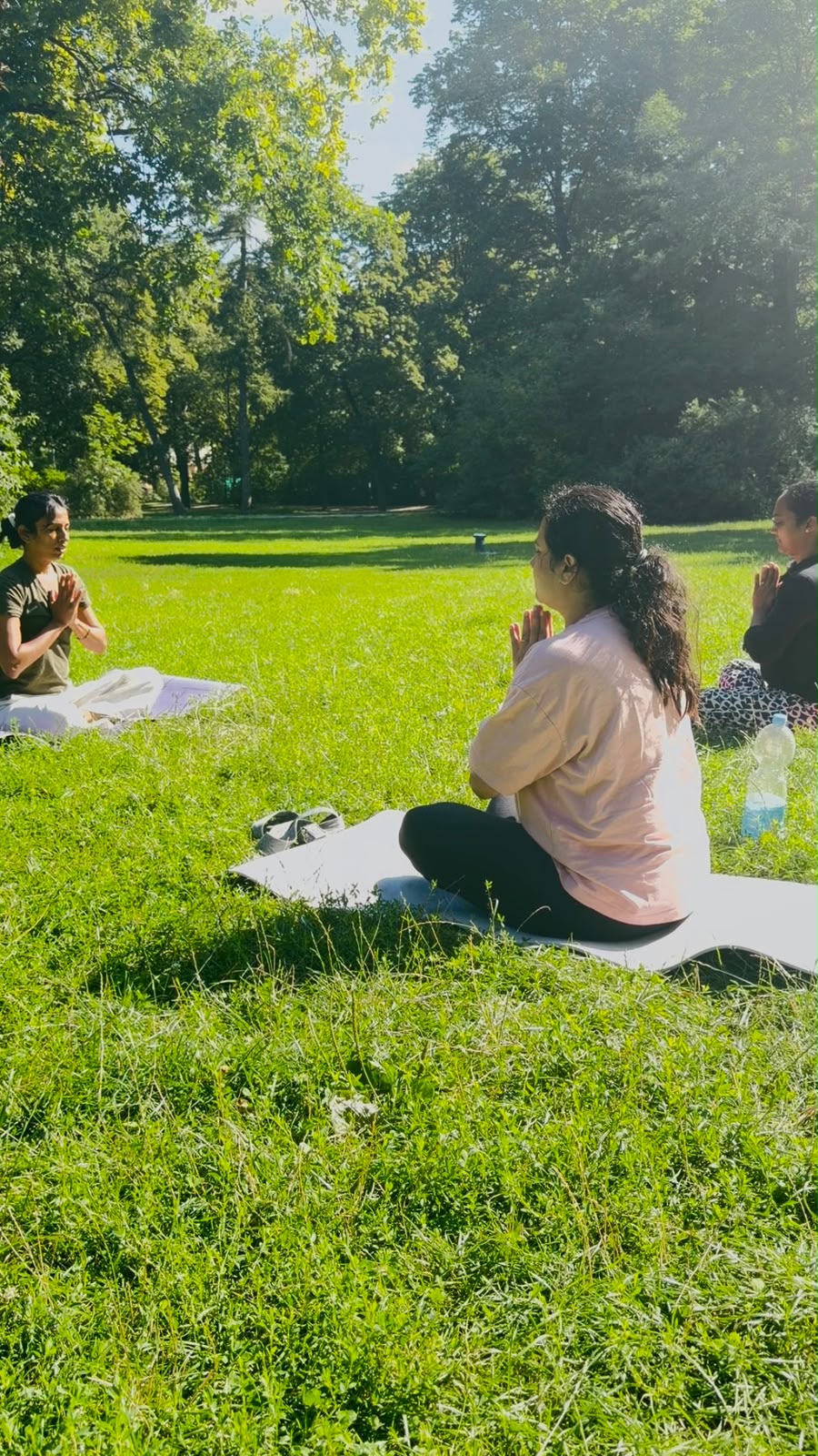 Yoga in the Park